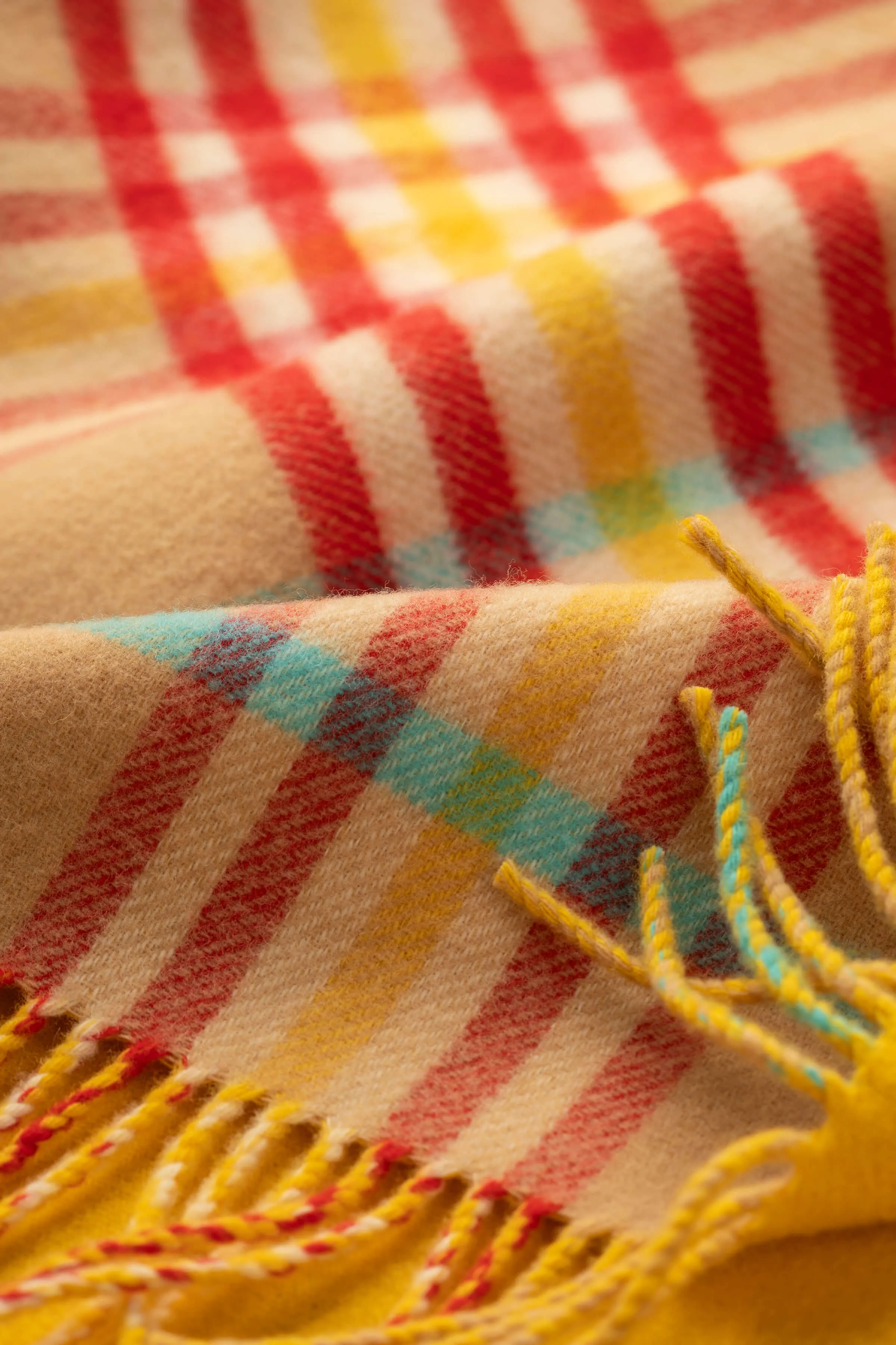 Double Face Check Lambswool Throw