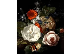 Flowers & Insects