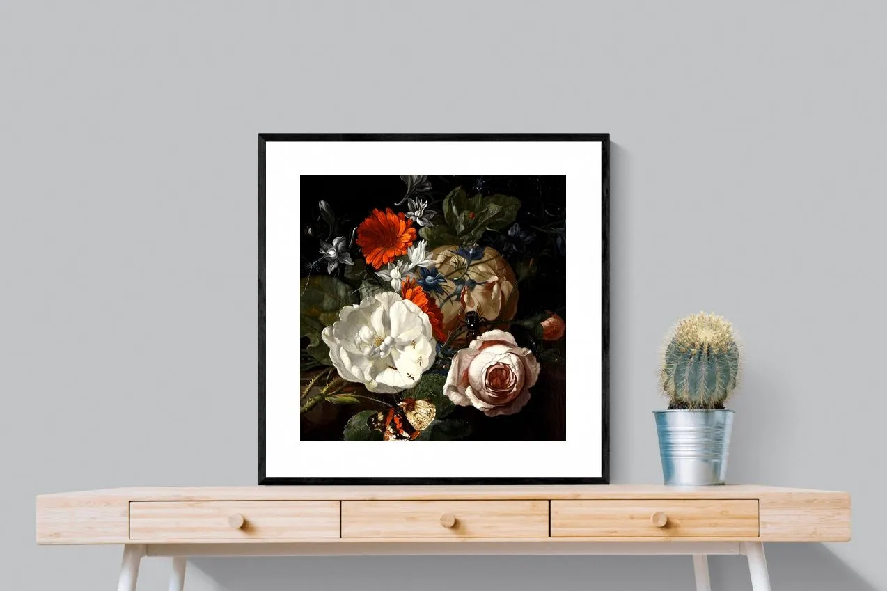 Flowers & Insects
