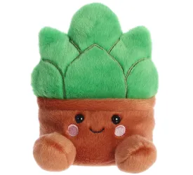 Gigi Succulent
