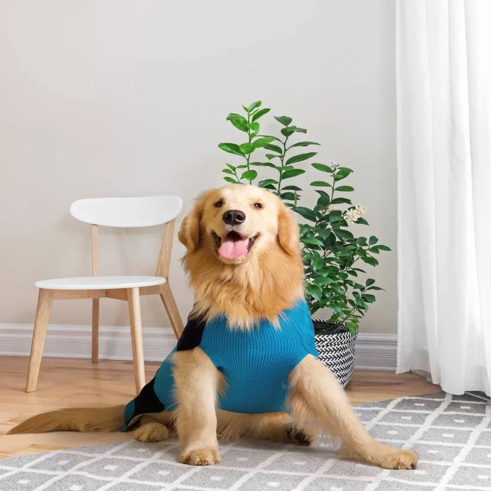 Petsnugs Half Cable Half Fully Fashion Sweater for Dogs and Cats (Blue/Black)